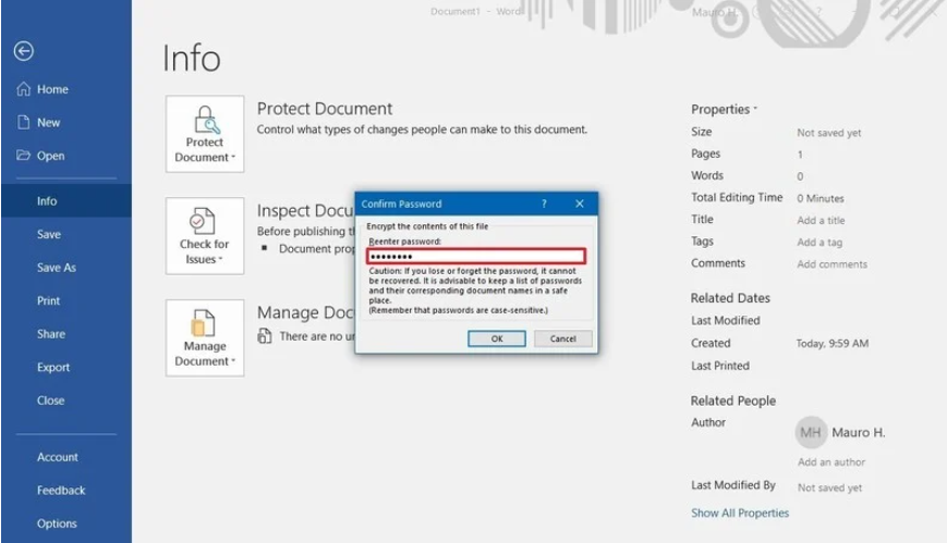 How to Password Protect Word Document 1