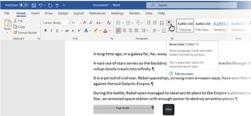 Remove break - How to Remove Page Breaks in Word