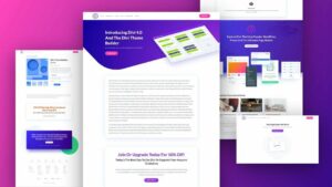 Divi - Using the Themes