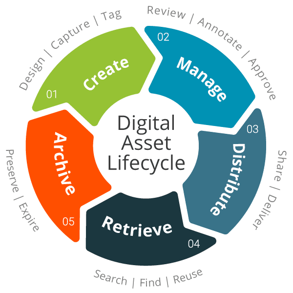Back Up your Digital Asset Files