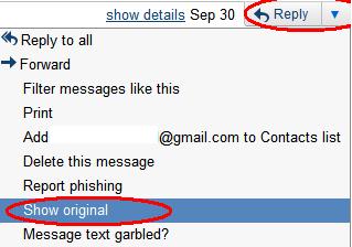 show IP address on Gmail