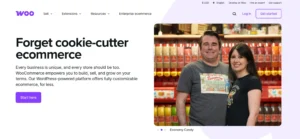 What Is WooCommerce? 