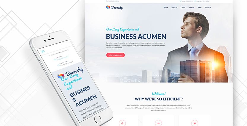 Barnaby - Consulting WordPress Theme 