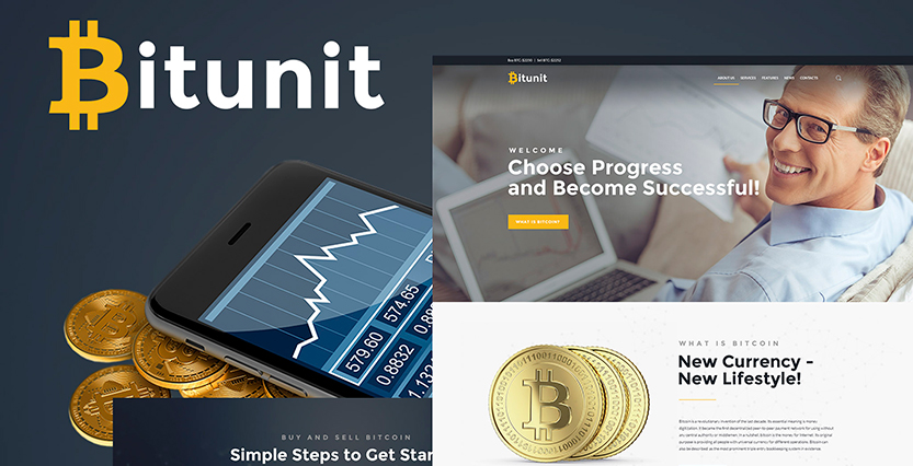 Bitcoin WordPress Template 