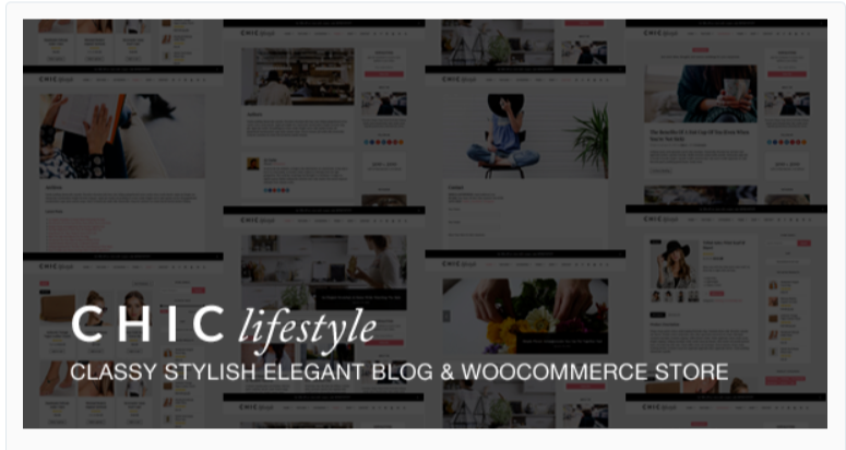 Chic - Fashion WordPress Themes