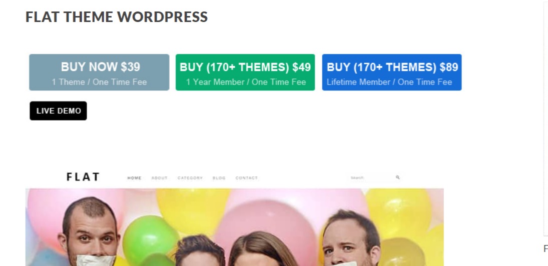 Flat - Photography WordPress Themes