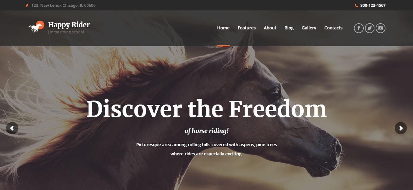 Happy Rider - WordPress Sports Theme