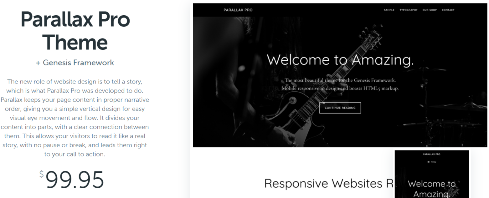 Parallax Pro - WordPress Blog Themes