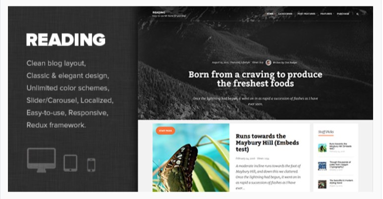 Reading- WordPress Blog Themes