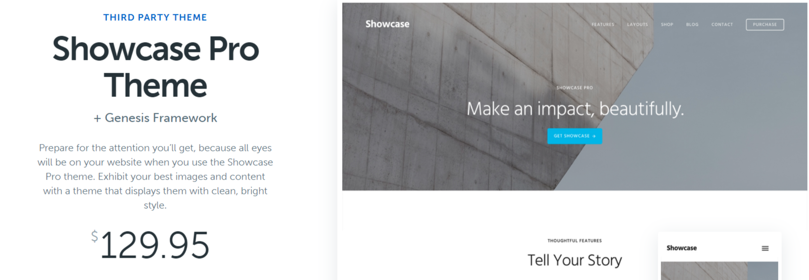 Showcase Pro- WordPress Blog Themes