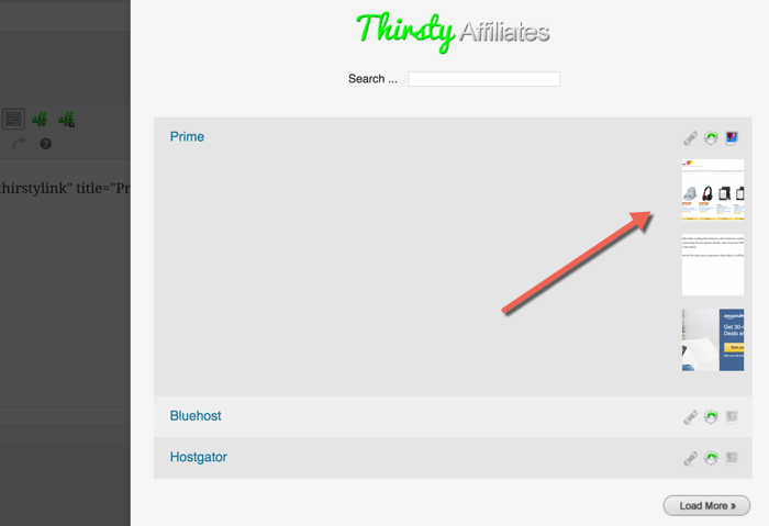 ThirstyAffiliate-plugin-review