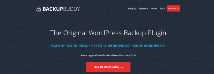 BackupBuddy coupon code