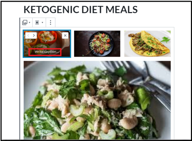 Write Caption In WordPress Gallery - Write Caption