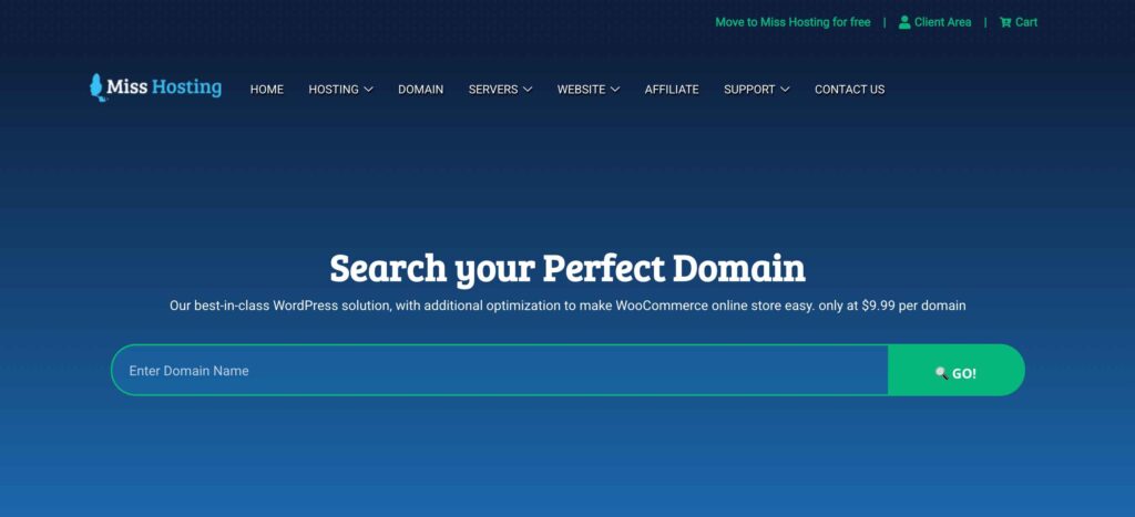 Overview Of Miss Hosting