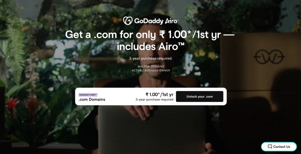 Overview of GoDaddy Renewal